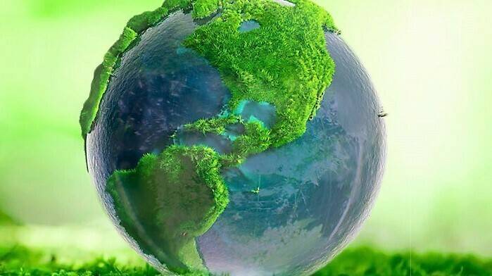 mexico-sembrando-vida|mexico-vida